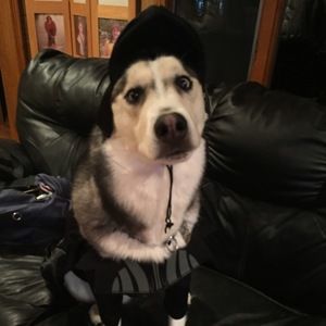 Meet your Posher, Tim